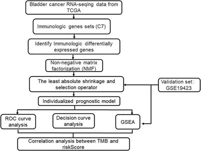 An Individualized Prognostic Signature for Clinically Predicting the Survival of Patients With Bladder Cancer